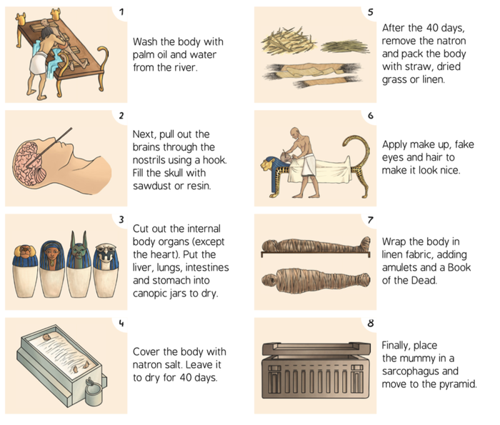 Year 3 Mummies